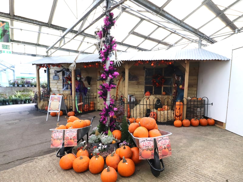 Keydell Nurseries in Hordean has set up its annual Halloween walkthrough for 2026.  Pictured: A look inside the Halloween set up  Picture: Habibur Rahman