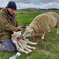 Specialist speakers to share practical insights at AgriSearch’s Flock Focus 2026