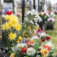 Derry and Strabane Council cemeteries to move to winter opening hours