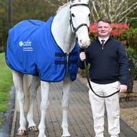 Greysteel CAFRE graduate shortlisted for BETA Equine Thesis of the Year Award