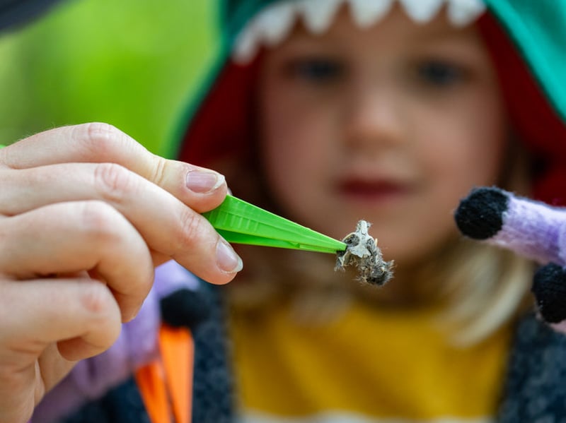 For one week only over half term, discover a world of natural wonder and mystery this autumn. Perfect for younger children, this magical experience at WWT Washington offers a scare-free day out in nature. Explore the magical superpowers and folklore of the wetlands. Expect a host of wildlife fun and crafts. More on the WWT website.