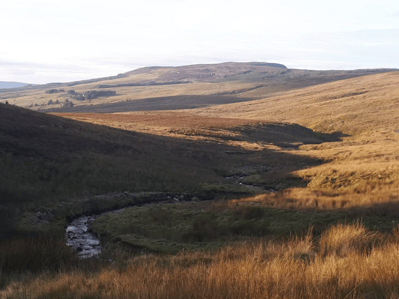 Iliocht O'Brien- Ballinagleragh