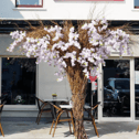Roots Cafe Kilcolgan 