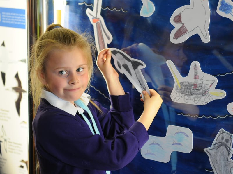 DFDS Seaways celebrating five years of working with the charity ORCA and created an interactive art display . Children from Highfield Community Primary School visited to add their creations. 