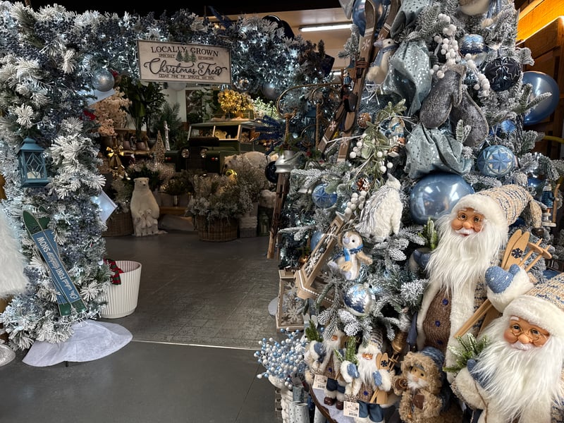The garden centre has been transformed for the season - but you can also still pick up non-seasonal items.