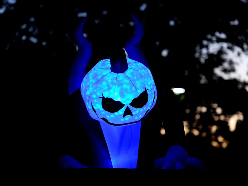 Liam McErlean from Ireland Way, Waterlooville, is putting on his second Halloween Light Show to raise money for Andy's Mans Club.

Picture: Sarah Standing (161026-157)