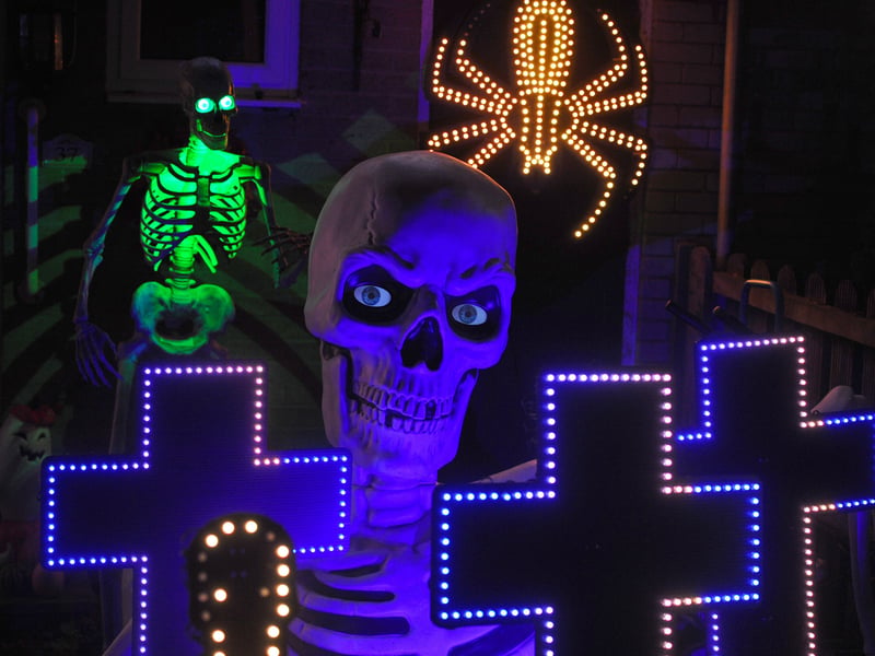 Liam McErlean from Ireland Way, Waterlooville, is putting on his second Halloween Light Show to raise money for Andy's Mans Club.

Picture: Sarah Standing (161026-157)