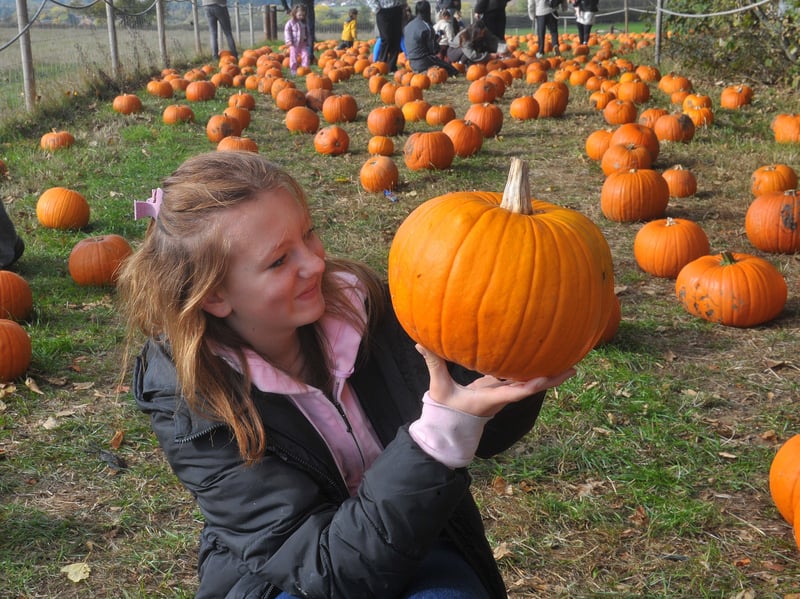 Poppy Tate holding a brilliant pumpkin