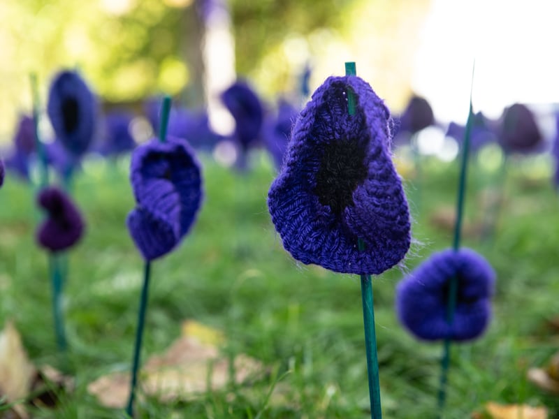 Around 4,000 poppies are set to be displayed in St Chad's churchyard, creating a special tribute to remember and honour all those who have served and sacrificed so much. Photo: Lucinda Herbert
