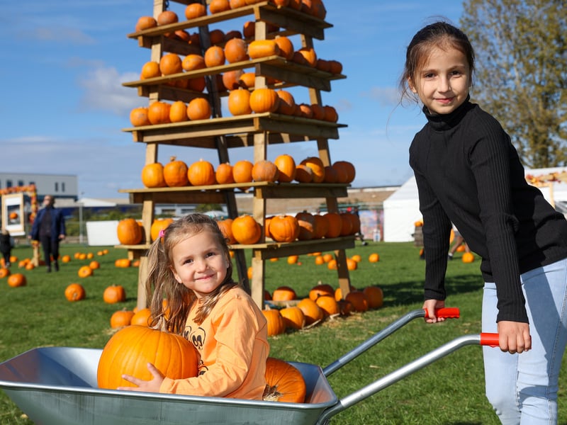  Nora, 5 and Lilia, 8 from Gosport, enjoy Portsmouth Pumpkin Patch.
