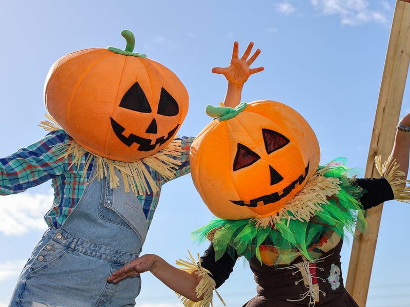 Families visited the newly opened Portsmouth Pumpkin Patch at 32 Acres Pavillion in Farlington.