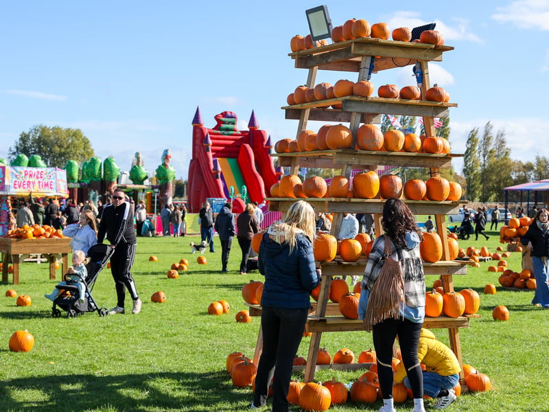 Crowds enjoy Portsmouth Pumpkin Patch.