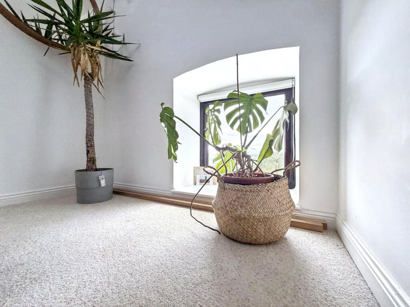 Pattinson Estate Agents, Houghton Le Spring
