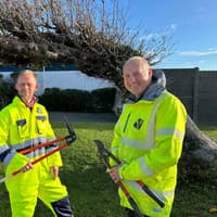 Newry, Mourne and Down District Council plans to protect Newcastle's award-winning landmark tree