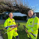 Newry, Mourne and Down District Council maintenance crew members Paul Cunningham (left)
and Alan Barbour at the award winning tree.