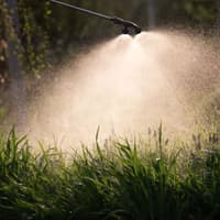 DAERA encourages farmers and growers to participate in the 2026 Pesticide Usage Survey