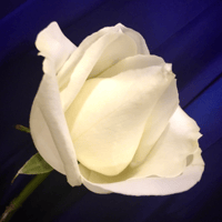 RIP: Galway native dies just before 100th birthday