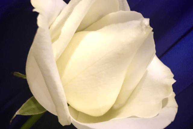 Funeral flower