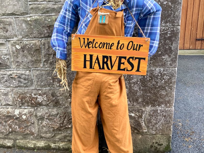 Fun for all at the Newmills Scarecrow Festival! ST264314
