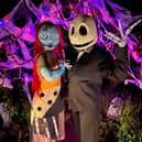 Jack Skellington and Sally are set to pay the Buttercrane a visit 