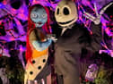 Jack Skellington and Sally are set to pay the Buttercrane a visit 