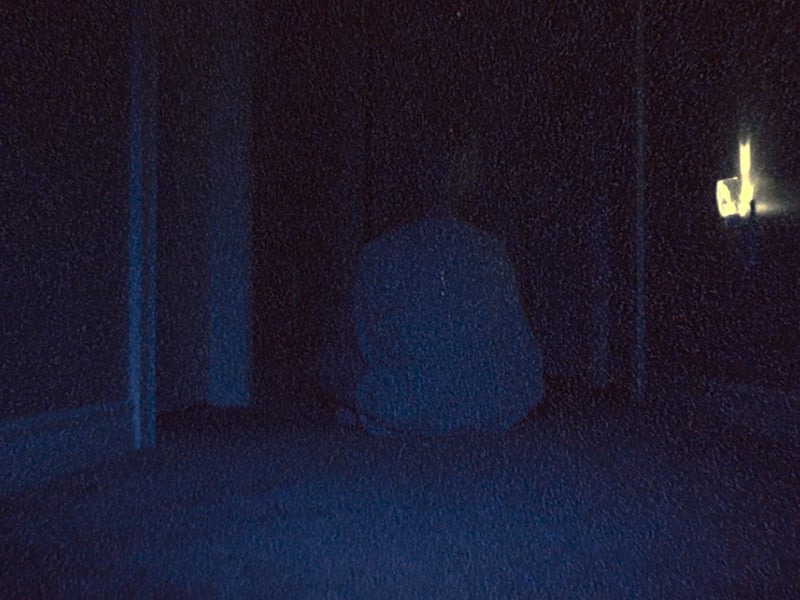 Coming in third is experimental 2022 horror Skinamarink, with an overall Scare Score of 91. It follows two children who wake up in the middle of the night only to discover that their father is missing and that all of the windows and doors of their home have vanished. Directed by Kye Edward Ball, the biggest scare of the film saw the average heart-rate of the audience peak at 113 BPM.
