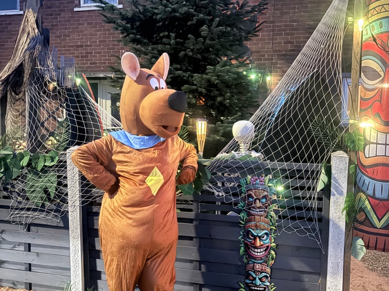 They are raising money for charity with this house. 