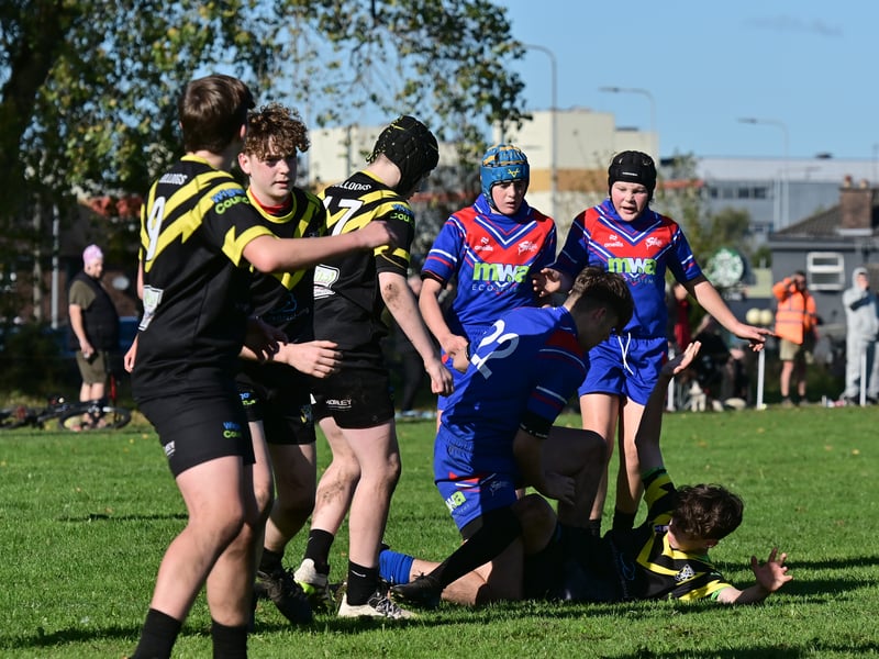 Bulldogs came up against the Sharks