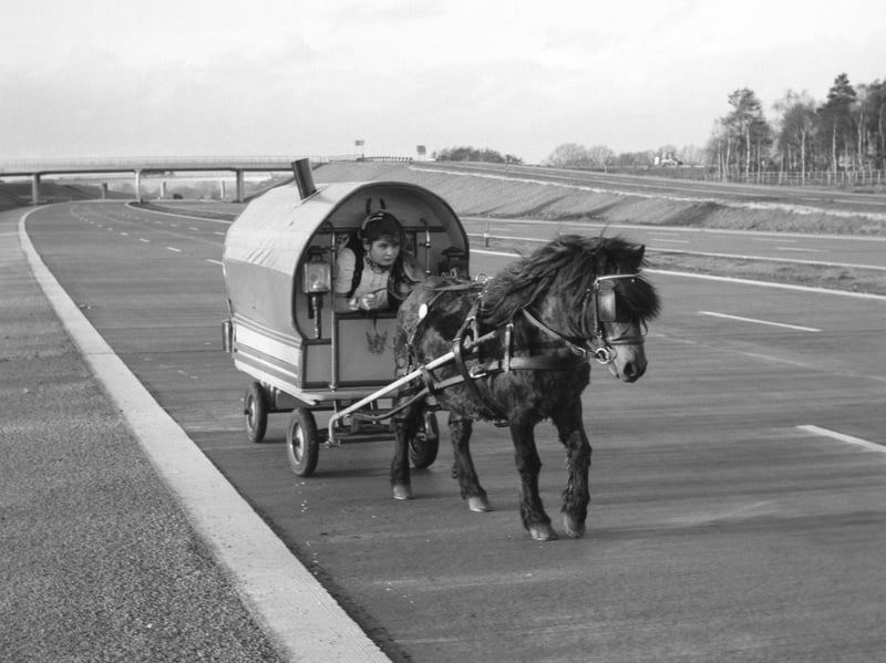 The coolest set of wheels! Ten year old Alma Bagnall takes the reins of a pint sized Romany caravan, pulled along by Tiny, a very trusty Shetland pony. Lovingly handcrafted by her father, Ernest Bagnall, from Brickyard Farm, this pocket sized vardo featured a chimney stack, tiny lanterns, and just enough room for big adventures. Cruising along an empty stretch of tarmac before high speed traffic took over, this delightful duo definitely wins the prize for the most charming commute of the decade.