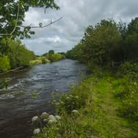 Galway waterways vulnerable to illegal poaching warn local angling group