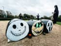 The Halloween Hay Trail display at 'The Tinnies'.