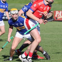 Molloy hits 1-16 as Abbeyknockmoy defeat Kilbeacanty in Premier Junior hurling semi-final