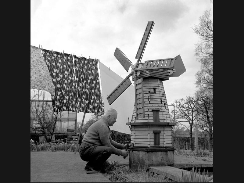 Bringing a bit of whimsical engineering home! On May 14, 1965, Joseph Parkes puts the finishing touches on a detailed miniature ornamental windmill in his back garden at Penn. Handcrafted with painstaking care, the towering garden feature sat right alongside the washing line and greenhouse, proving that local backyards were full of wonderful passion projects and eccentric charm.