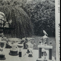 Richhill bird fancier Edmund Taylor's canaries cause a flutter among judges
