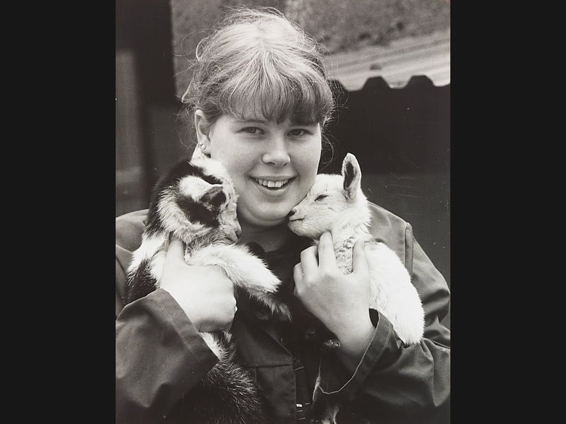 An adorable handful of pure joy! Junior keeper Kay Putnam beams with happiness as she snuggles two newly born baby pygmy goats at Drayton Manor Zoo in March 1992. Born to parents Pandora and Wotan, the precious pair brought huge excitement to zoo staff, who launched a public search to help pick out the perfect names for their delightful new recruits.