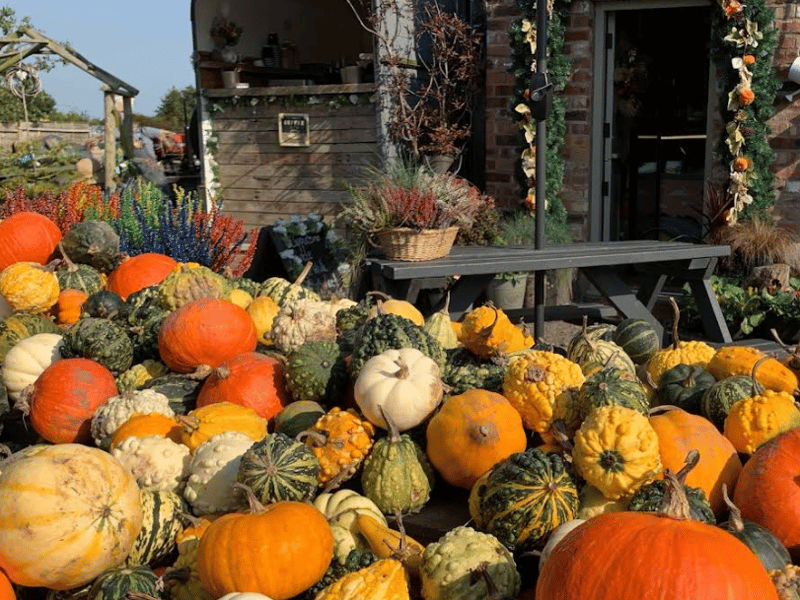 Found just past the western boundary of Wigan borough, this hidden farm shop opens up its fields for pumpkin picking alongside serving up local Wallings ice cream and warm drinks from their cafe setup.