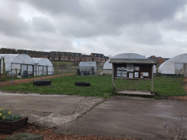 A fantastic community-led initiative that offers a relaxed pick-your-own pumpkin experience in October. It is less commercialised than some of the larger patches, making it perfect if you prefer a peaceful, rustic, and community-minded setting.