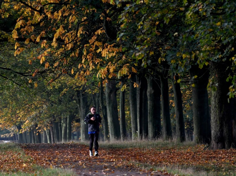 Enjoying a crisp autumnal walk along woodland trails and parkland paths in West Yorkshire 