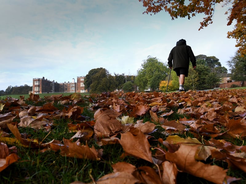 A solitary walker strolls across the leaf-covered grounds of Temple Newsam House in Leeds as autumn sets in 