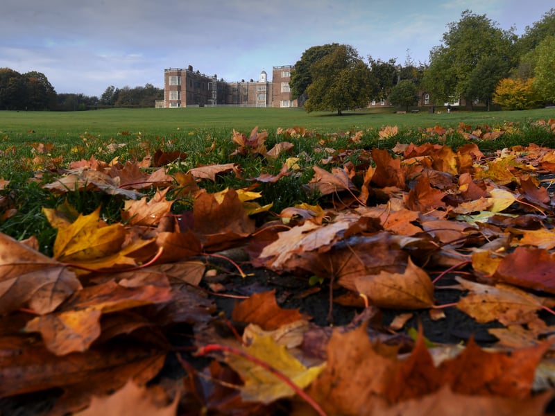 A thick carpet of fallen autumn leaves frames the iconic backdrop of Temple Newsam House in Leeds 