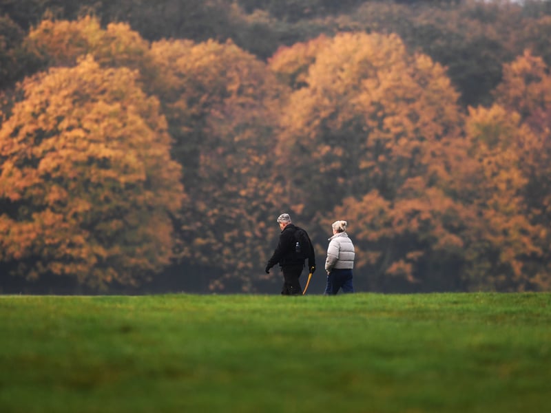 The majestic tree-lined avenues of Temple Newsam transformed by golden fall canopies and autumn leaves 