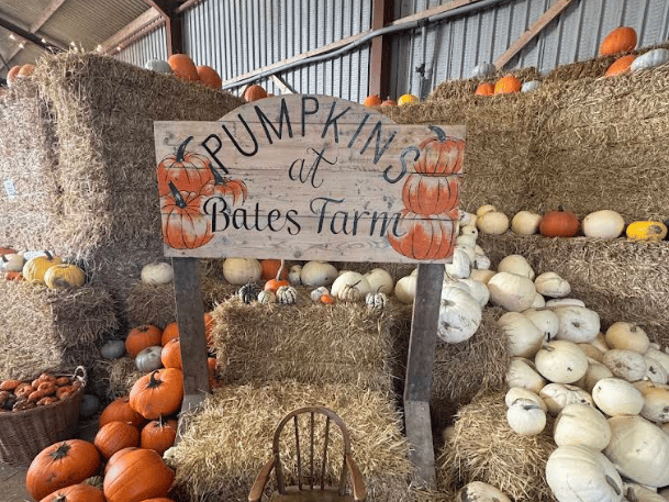 Located about 20 minutes from the centre of Wigan, this working farm is run by two sisters who offer an authentic farm patch experience. You can head into the fields to pull pumpkins straight from the vine, meet the farm animals, and grab a themed hot chocolate from their vendor van