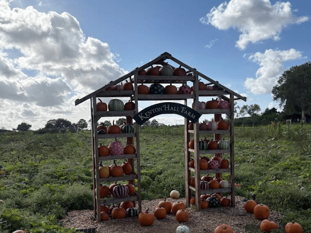 Located just a few minutes down the road from Leigh, this is one of the biggest and most famous pumpkin festivals in the North West. They feature massive wheelbarrows, millions of pumpkins in every colour imaginable, photo backdrops, and an excellent farm shop and cafe.