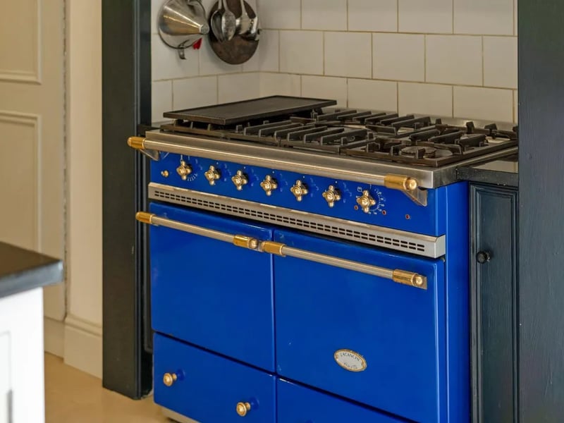 The kitchen's standout feature.