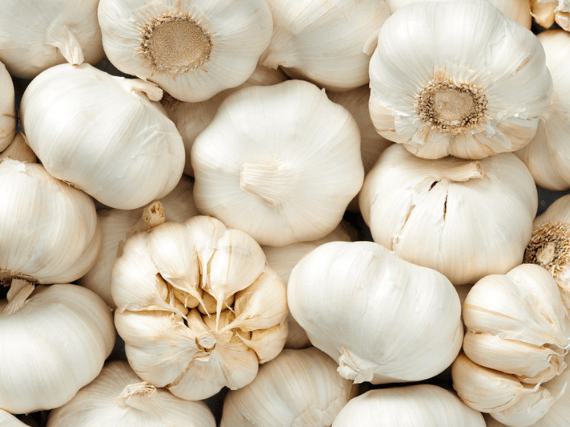 The ultimate nightmare for vampire hunters, alliumphobia triggers an irrational terror of garlic bulbs, whether by sight, taste, or smell.