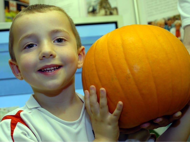 Alex Wood, aged four, of Sprotbrough, and giant pumpkin at the food festival at Doncaster Racecourse.