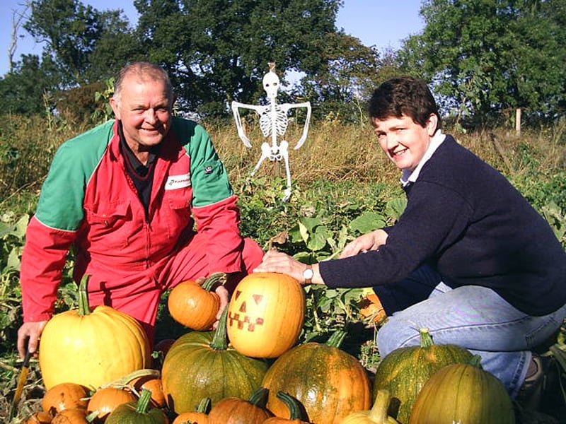 David Chappell and partner Mandy Vernon - who own a farm near Hatfield Woodhouse, Doncaster - hard at work harvesting the pumpkins in readiness for Shriek Week.