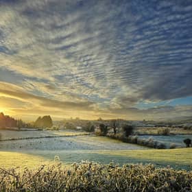 A beautifully detailed frosty landscape, photographed by Cara Coll which scooped first lace in the Omagh Photography Club's recent Phone Photography Competition. SU2844CD26