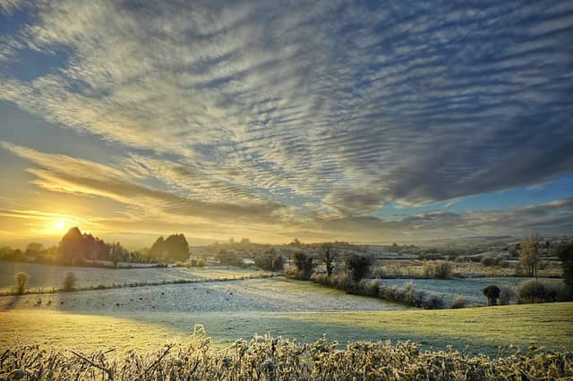 A beautifully detailed frosty landscape, photographed by Cara Coll which scooped first lace in the Omagh Photography Club's recent Phone Photography Competition. SU2844CD26