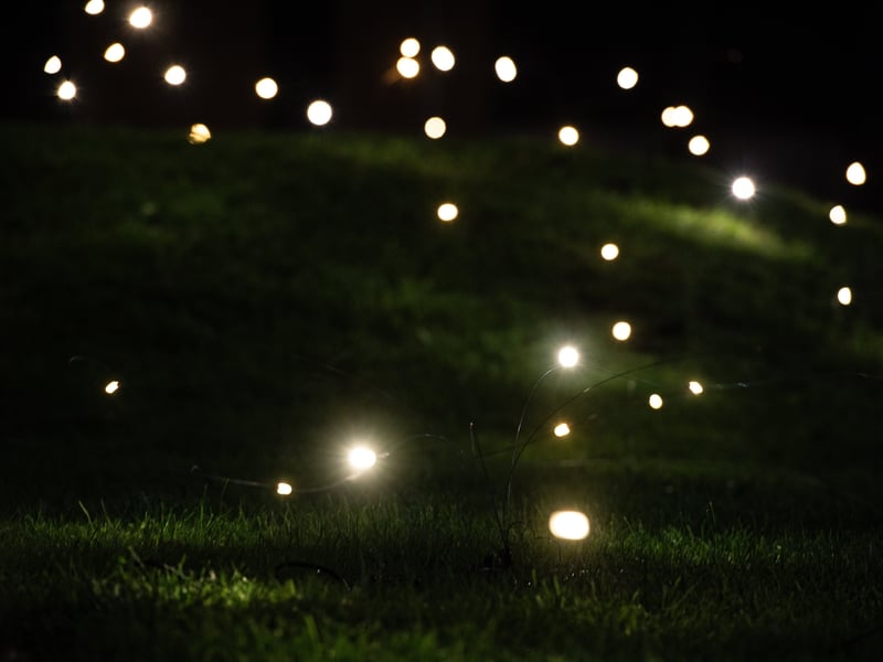 Lightpool 2026 art trail on opening night in Blackpool. Photo: Lucinda Herbert